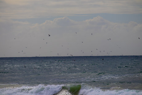 No  nude leaked OnlyFans photo