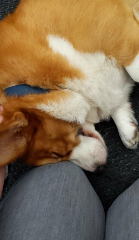 Sincerelysarahtrickler