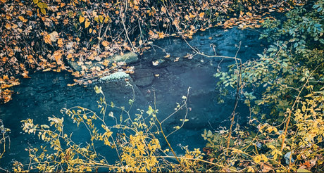 Redd  nude leaked OnlyFans photo