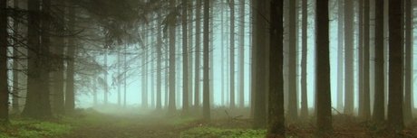 Zexion006  nude leaked OnlyFans photo