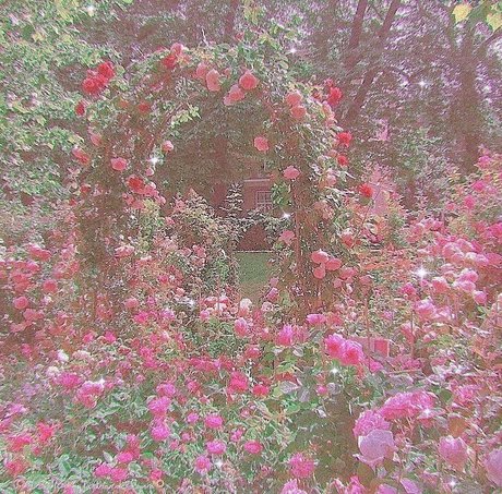 Goddess Miki  nude leaked OnlyFans photo