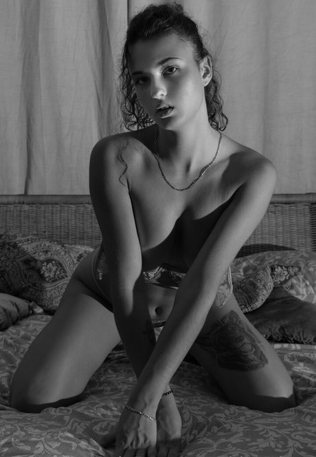 Charlottelapiedrafree