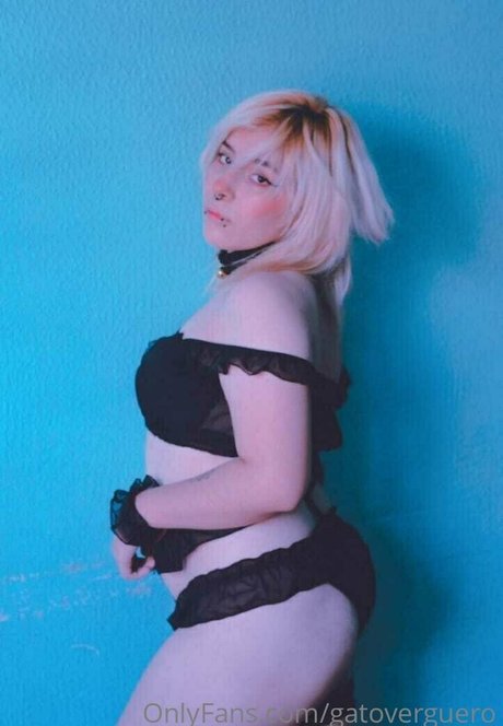 Gatoverguero