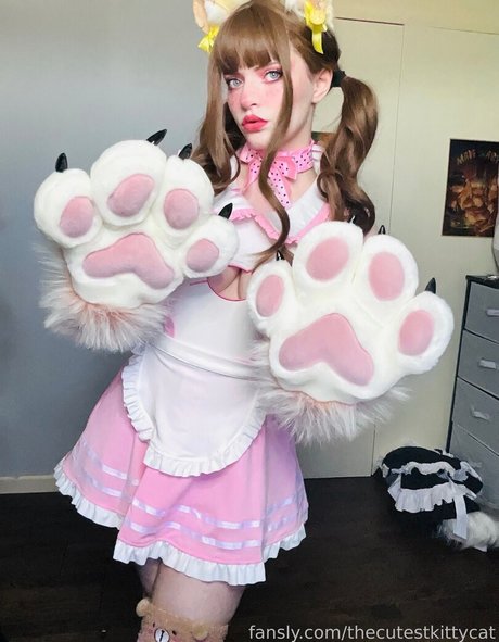 Thecutestkittycat