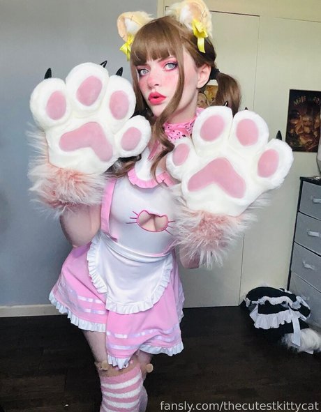 Thecutestkittycat