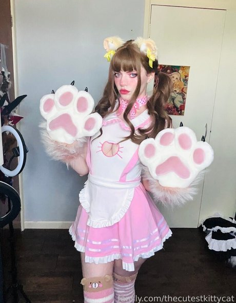 Thecutestkittycat