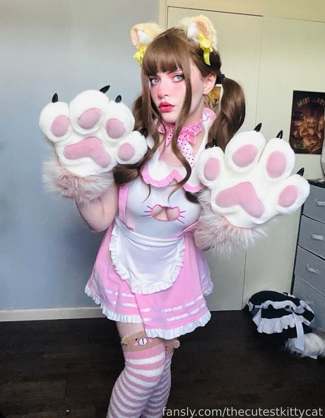 Thecutestkittycat