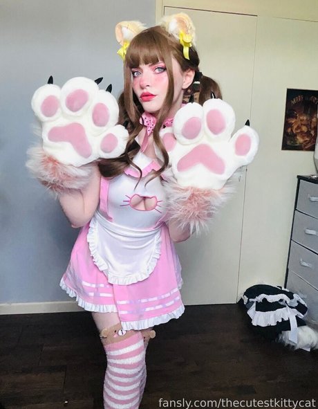 Thecutestkittycat