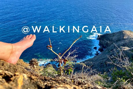 Walkingaia