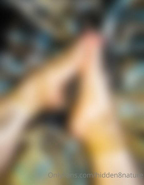 Hidden8nature