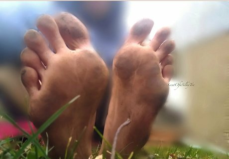 Scentofasilkytoe