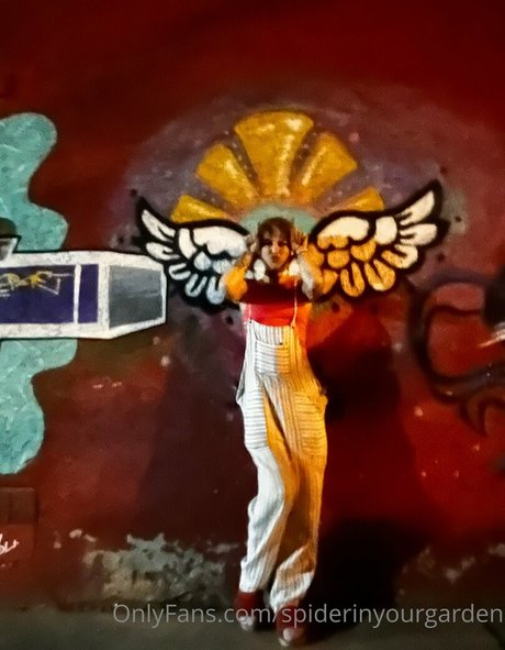 Spiderinyourgarden