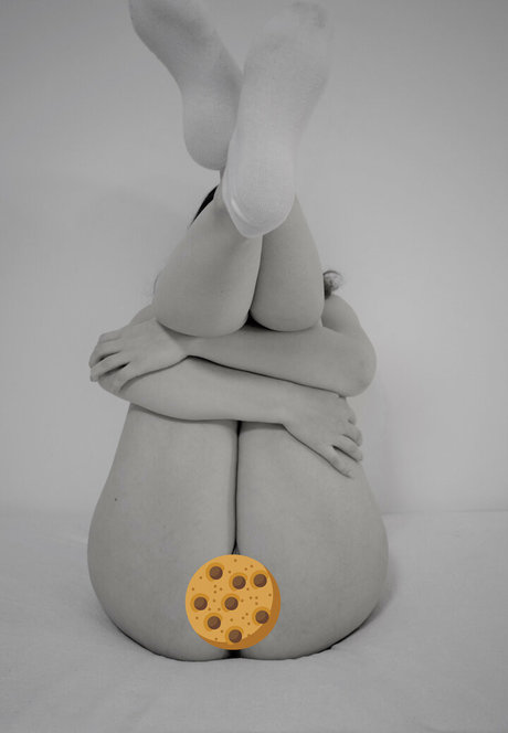 Cookiegirlslo