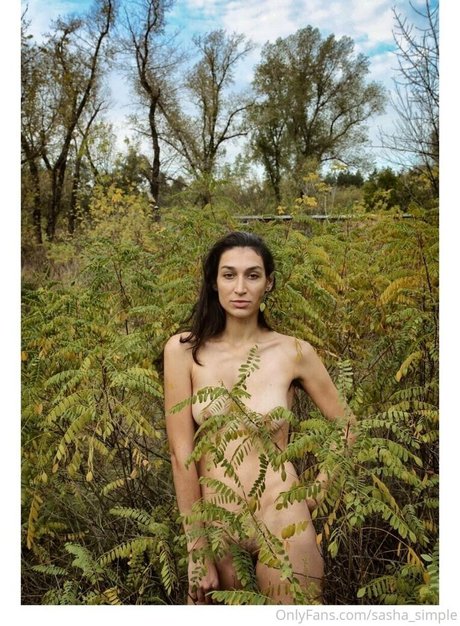 Sashasimple