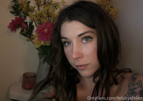 Felicityfeline