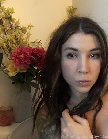 Felicityfeline