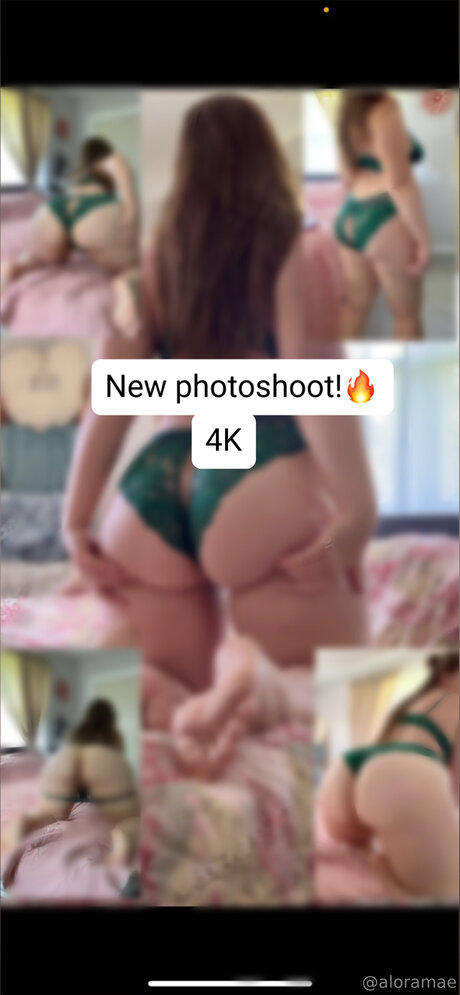 Aloramaescontentlibrary