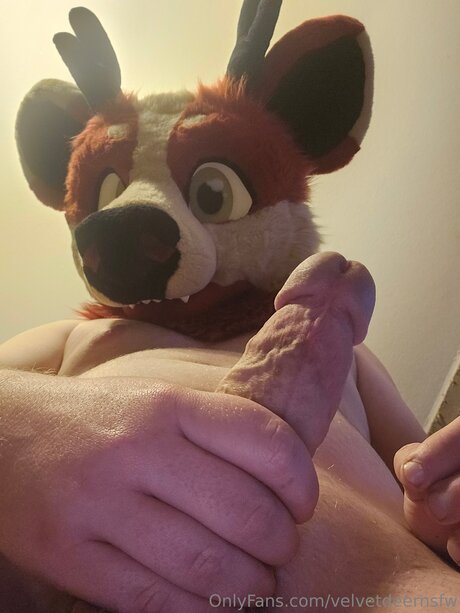 Velvetdeernsfw