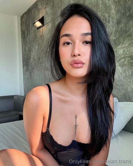 Asian Trans