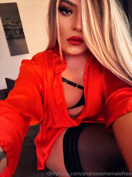 Andreeadragulescutsfree