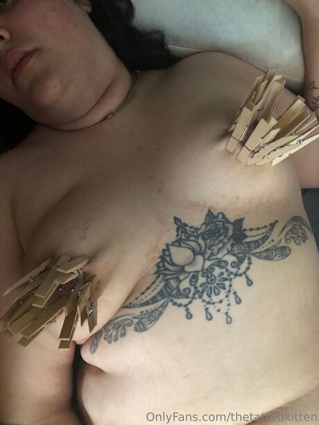 Thetattedkitten