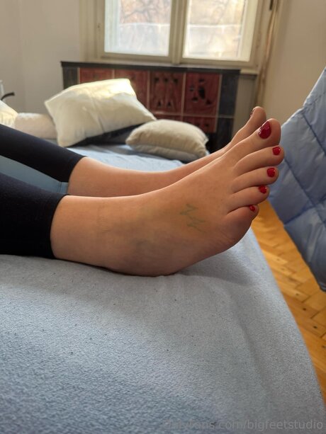 Bigfeetstudio