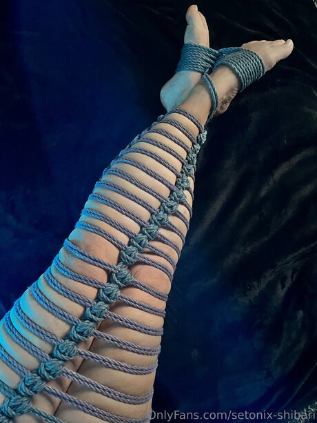 Setonix Shibari