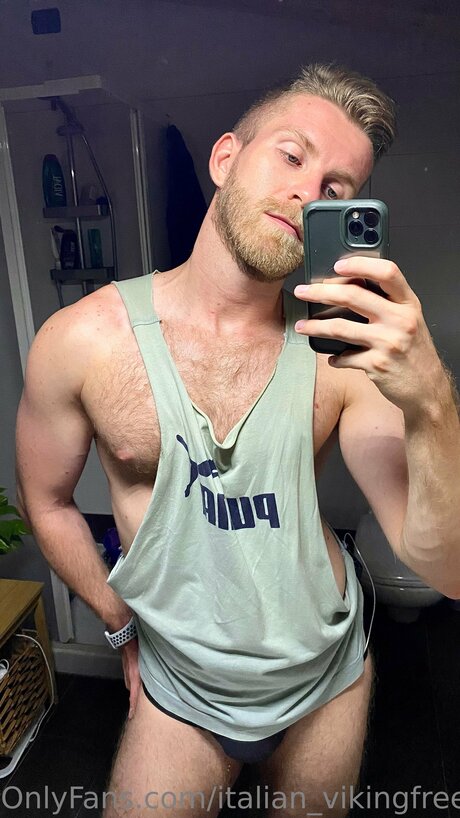 Italian Vikingfree