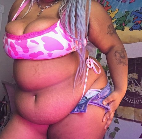 Thebbwbible