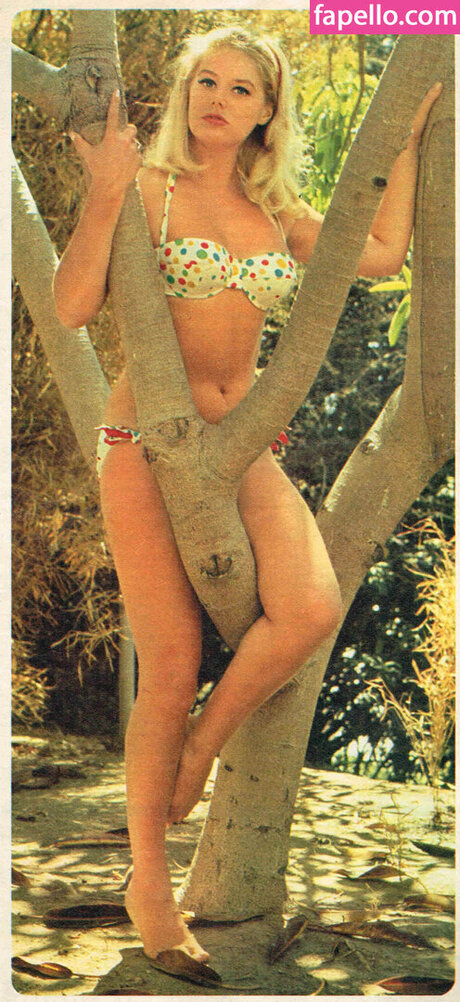 Vintage English Pinups