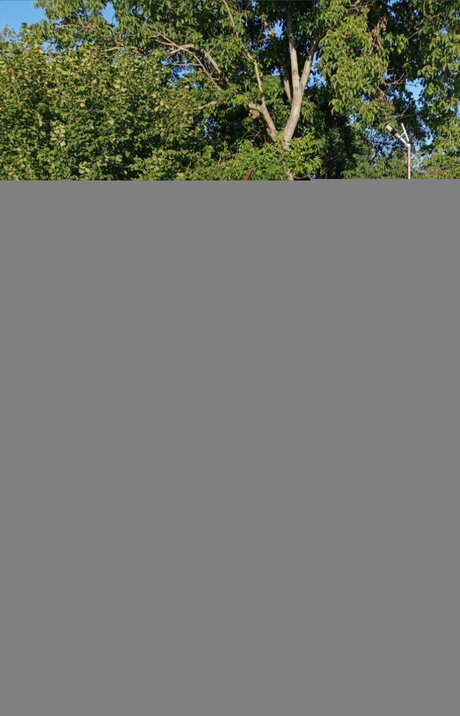 Bomba    nude leaked OnlyFans photo