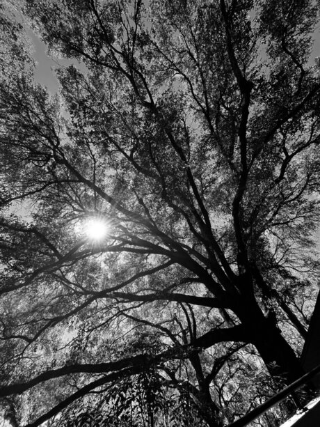 Retr04ctive  nude leaked OnlyFans photo