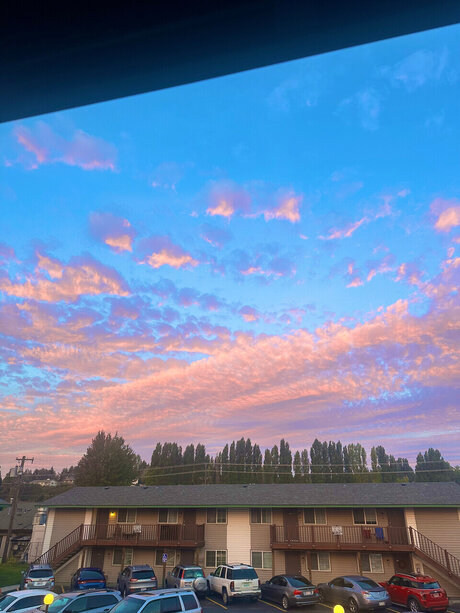 Sativa Syd  nude leaked OnlyFans photo