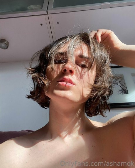 Ashamok