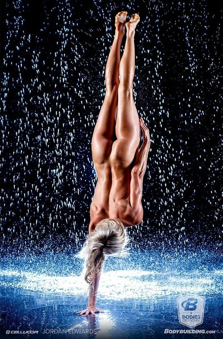 Bodybuildingcoms Bodieswork