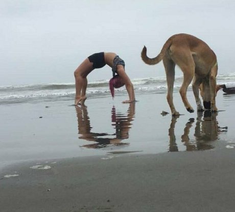 Accidentallydelicious