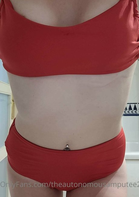 Theautonomousamputee2