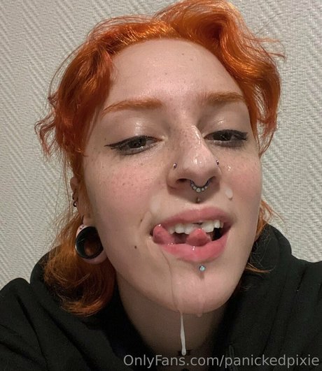 Panickedpixie