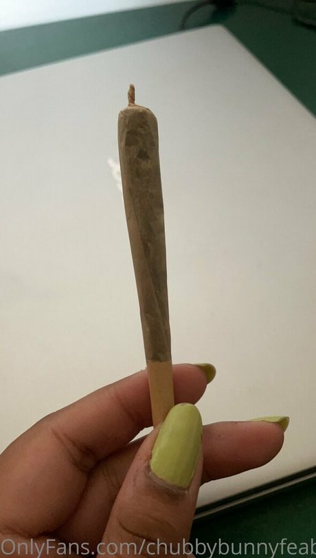 Chubbybunnyfeabie