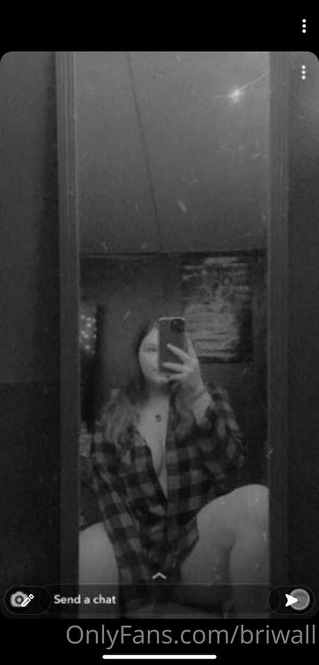 Briwall