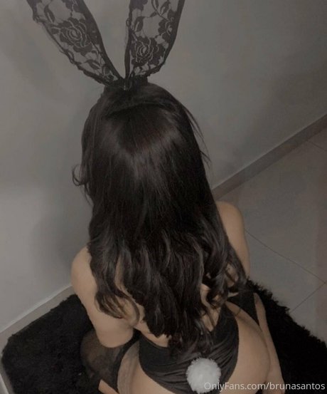 Brunasantos