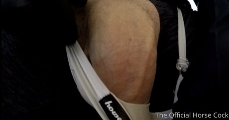 Horsecock
