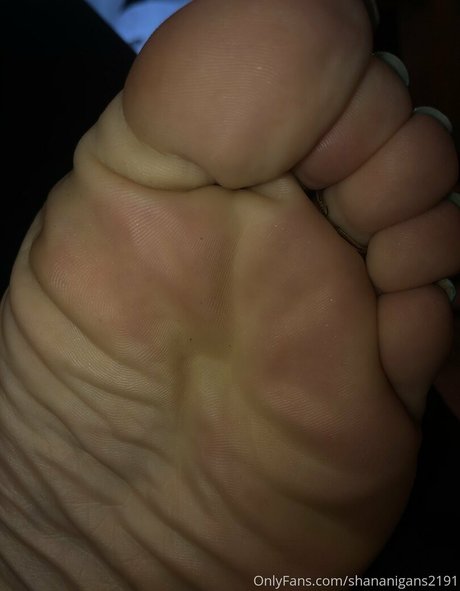 Toetalvixen