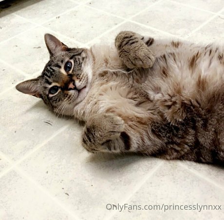 Princesslynnxx
