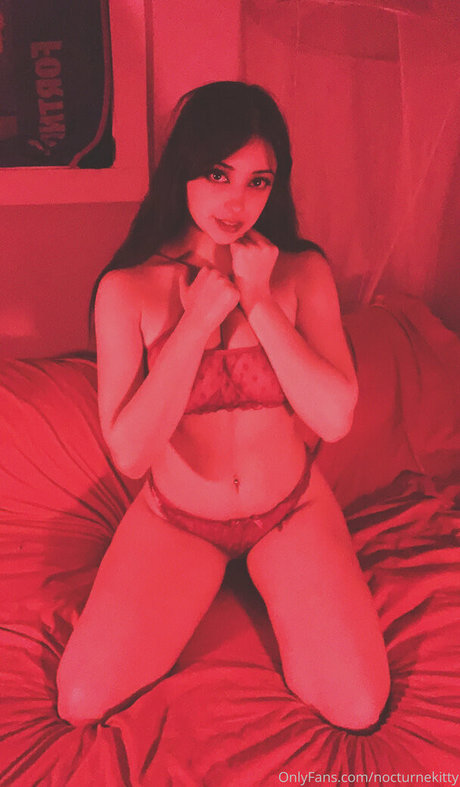 Nocturnekitty