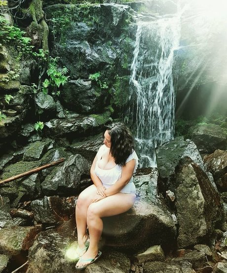 Lartdanstoutessesformes