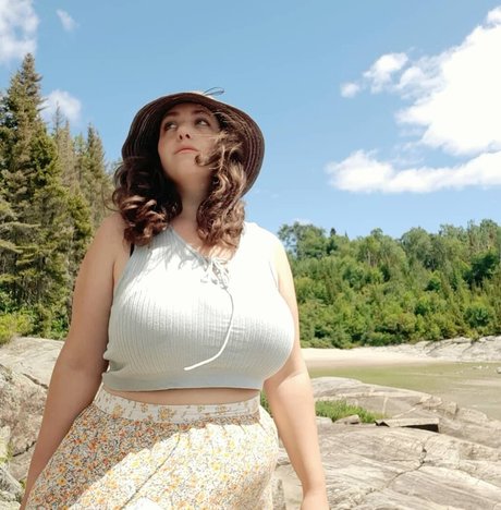 Lartdanstoutessesformes