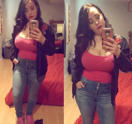 Lartdanstoutessesformes