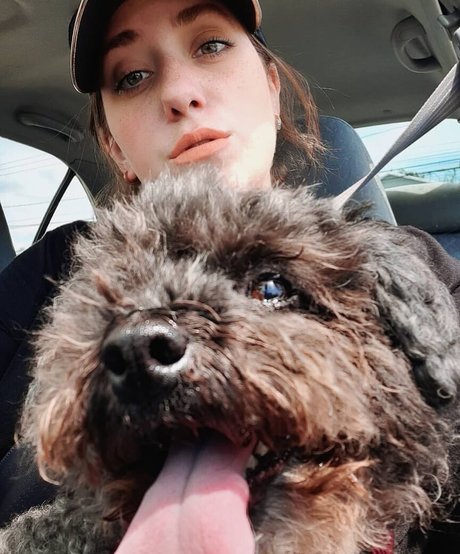 Lartdanstoutessesformes