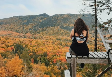 Lartdanstoutessesformes